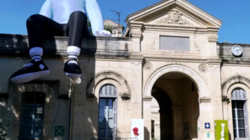 Street art : 39 fresques murales habillent le collège-lycée Françoise Combes