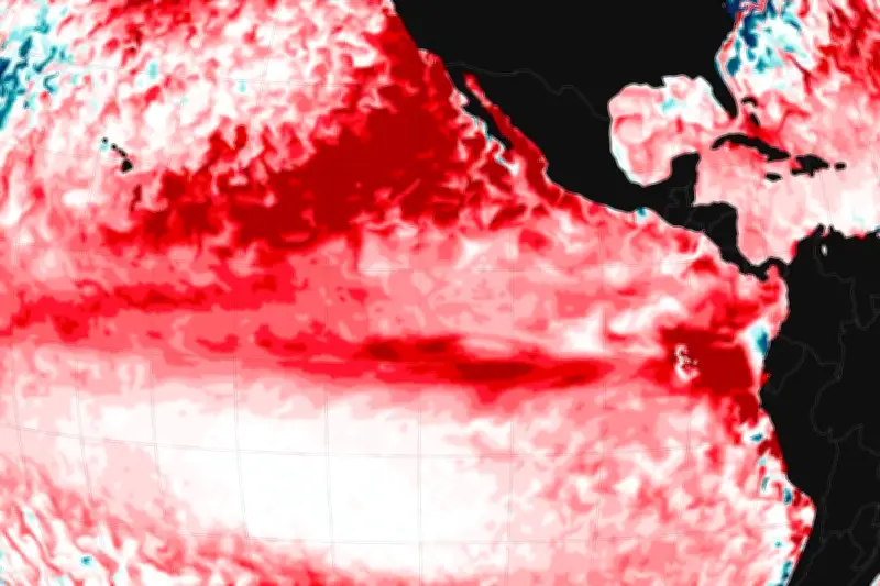 Super El Niño : les vigies du climat en état d'alerte
