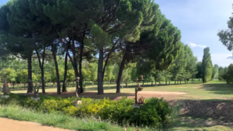 Tentative d'enlèvement d'un enfant à Montpellier : un homme interpellé près du parc Charpak