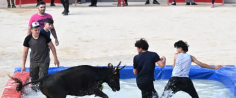 Toro piscine, belote, cirque et rock : l'été s'annonce animé à Alès