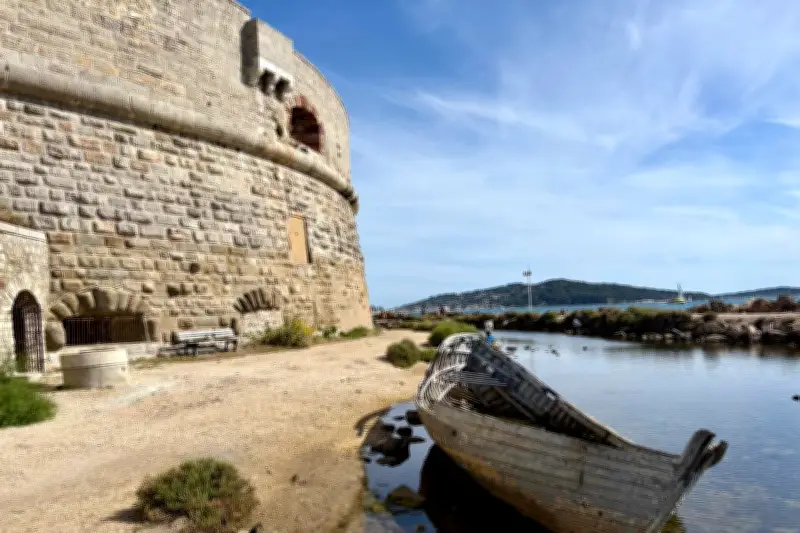 Toulon : une cani-plage expérimentale au pied de la Tour Royale