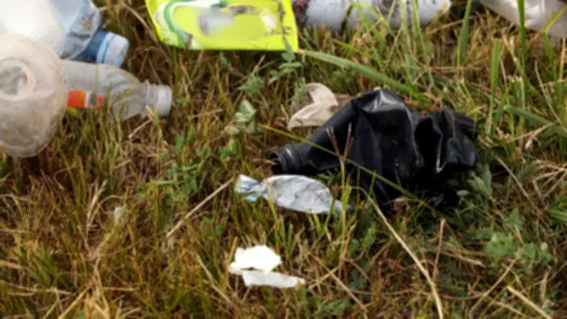 Trafic de chiens drogués et squats : le cauchemar des riverains à Nice