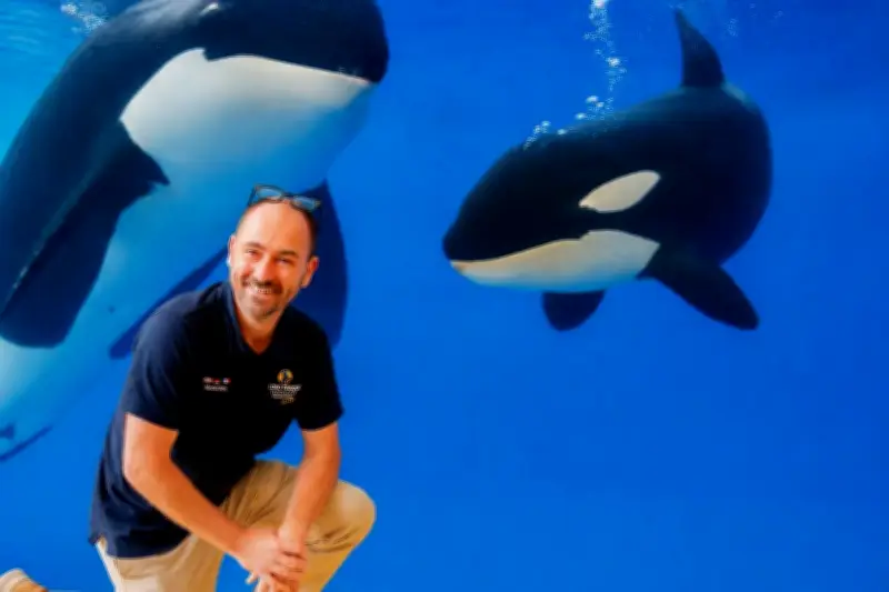 Transfert des orques de Marineland : le Loro Parque répond aux critiques