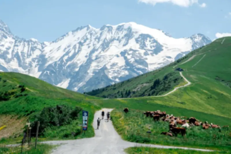 Trois escapades en Savoie : randonnée, VTT, parapente et dégustation