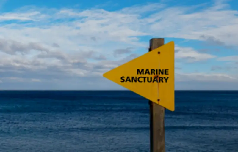 Trump rouvre trois sanctuaires marins du Pacifique à la pêche commerciale