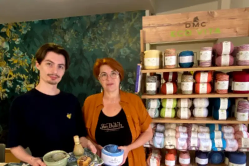 Un café-tricot original ouvre à Toulon : Pelot'Thé mêle thé et pelotes