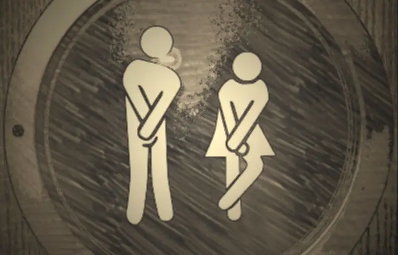 Un campeur tombe dans des toilettes sèches en voulant récupérer ses lunettes