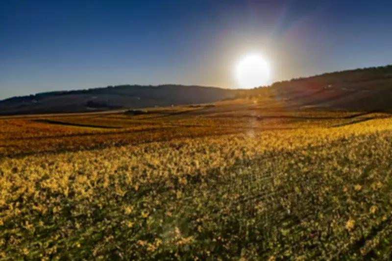 Un épisode El Niño exceptionnel pourrait frapper en 2026-2027