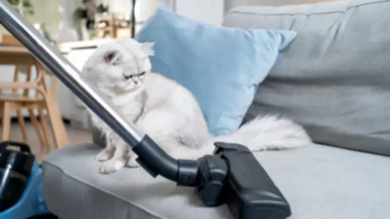 Un retraité réclame 500 000 € pour un aspirateur à 140 € bouché