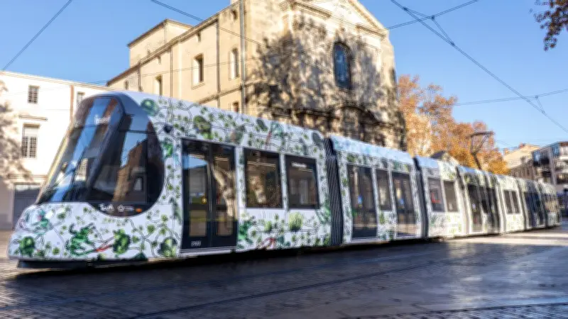 Viol d'un passant endormi à un arrêt de tramway à Montpellier : le suspect reconnaît les faits