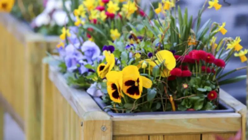 Vols de fleurs à Fontaine : le maire en appelle à la dénonciation