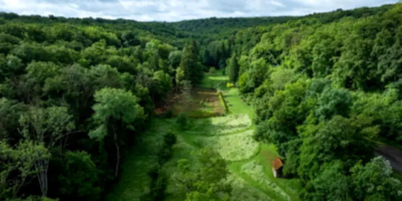Voyage aux sources de la Seine : le sanctuaire antique de Sequana