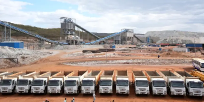 Zimbabwe : le géant africain du lithium veut briser le monopole chinois sur ses mines