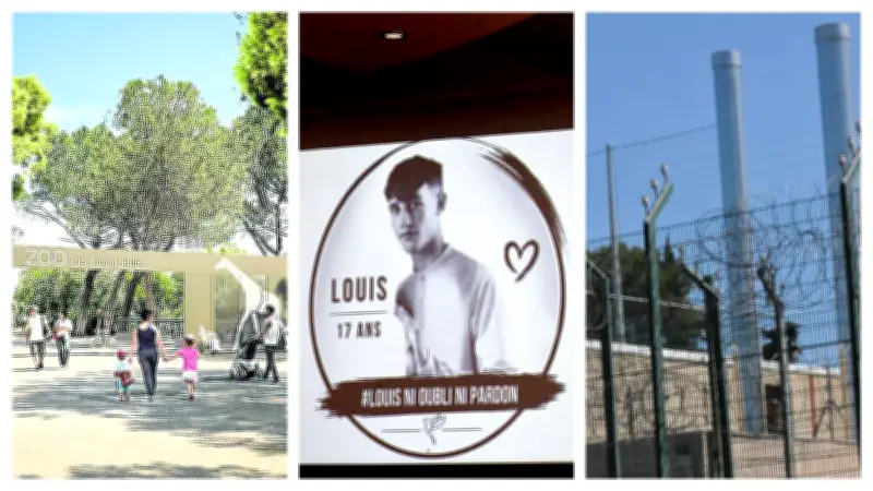 Zoo de Montpellier fermé jusqu'en 2028, mère de Louis témoigne, prison de Nîmes en crise