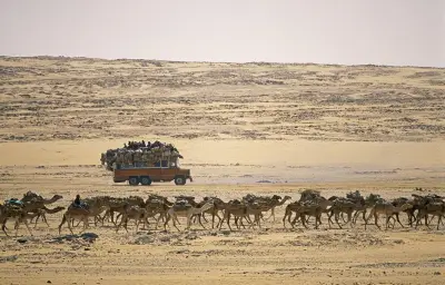 49 Nigériens meurent dans le désert à la frontière algérienne