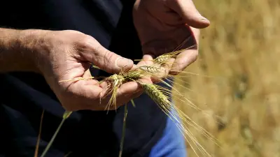 Agriculture bas carbone : la Conf' et le Shift Project en débat à Rodez