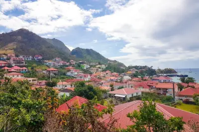 Antilles : 80% des adultes contaminés au chlordécone, 30 ans après son interdiction