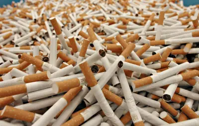 Belgique : six usines clandestines de cigarettes démantelées en 2026