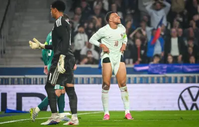 Bleus : les doutes persistent avant la Coupe du monde après une victoire poussive