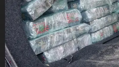 Béziers : 40 kg de cannabis saisis, un Nîmois condamné à 5 ans de prison