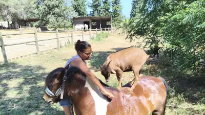 À Béziers, un paradis Montessori où les enfants apprennent au contact des animaux