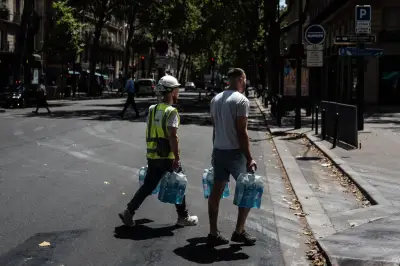 Canicule : agriculture, santé, BTP en souffrance économique