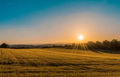 Canicule exceptionnelle : records de chaleur battus en France