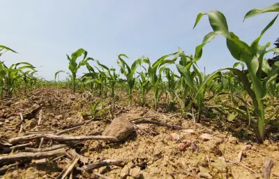Canicule précoce : 40°C attendus, une vague de chaleur durable s'installe