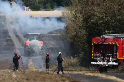 Canicule : six départements du Sud en risque très élevé d'incendies