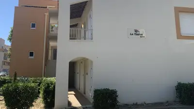 Cap d'Agde : attaques de goélands, un octogénaire blessé