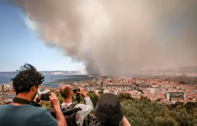 Chasseurs d'incendie : des bénévoles traquent les feux de forêt sur les réseaux sociaux