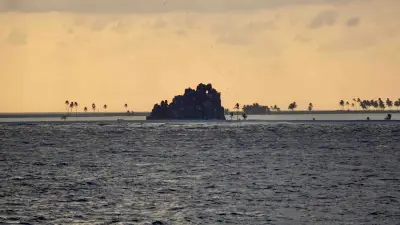 Clipperton, l'île au trésor oubliée de la France