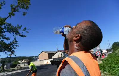 Congé climatique : les Écologistes lancent une pétition pour 5 jours payés par an