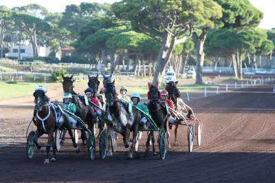 Course hippique délocalisée de Cavaillon à Hyères après occupation des gens du voyage