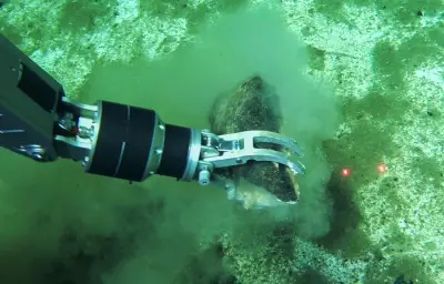 Découverte du plus grand cimetière de baleines au monde dans l'océan Indien