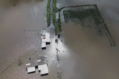 El Niño, l'enfant terrible du Pacifique, a officiellement commencé