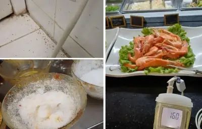 Fermeture d'un buffet chinois à Séné pour manquements à l'hygiène