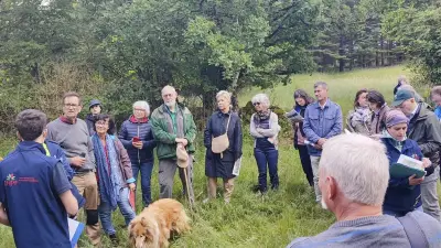 Fransylva en Hérault : forêt privée face au changement climatique