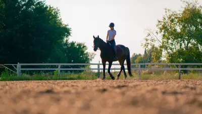 Haute-Garonne : une cavalière de 17 ans grièvement blessée après une chute de cheval