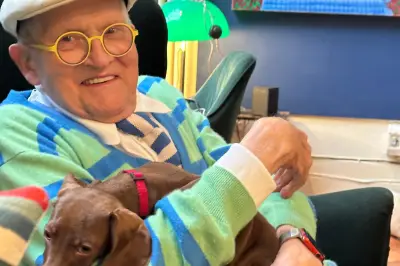 Hockney et ses teckels : quand ses chiens ont changé sa notoriété