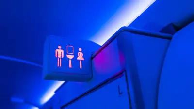 Il s'infiltre dans un avion avec un faux billet et se cache aux toilettes