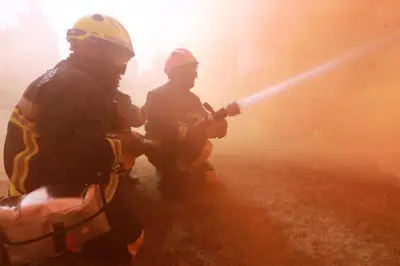 Incendie à Cuers : 1 000 m² d'espace naturel brûlés, le feu fixé par les pompiers