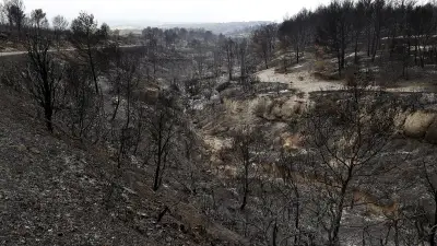 Incendie dans l'Aude : agent ONF mis en examen pour destruction involontaire