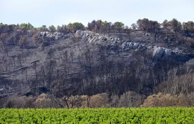 Incendie dans l'Aude : un agent ONF présenté à un juge