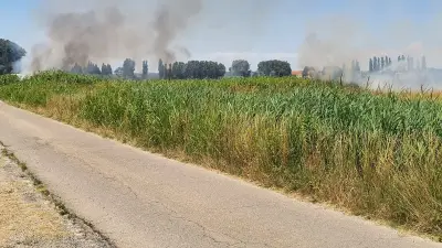 Incendie de 5 hectares à Beaucaire : pompiers mobilisés, habitation épargnée
