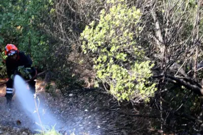 Incendie de broussailles à Pierrefeu-du-Var : 2 000 m² brûlés