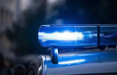 Individu suspect signalé dans le bois de Vaires-sur-Marne