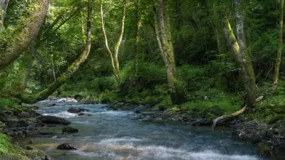 Isère : corps d'un maçon découvert au bord de la Gère, piste criminelle