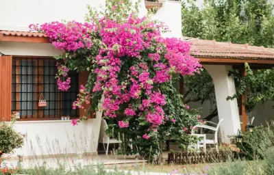 Jardin : les plantations incontournables à faire en juin
