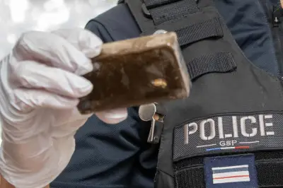 Jipsa le chien policier débusque un trafiquant de drogue à La Garde